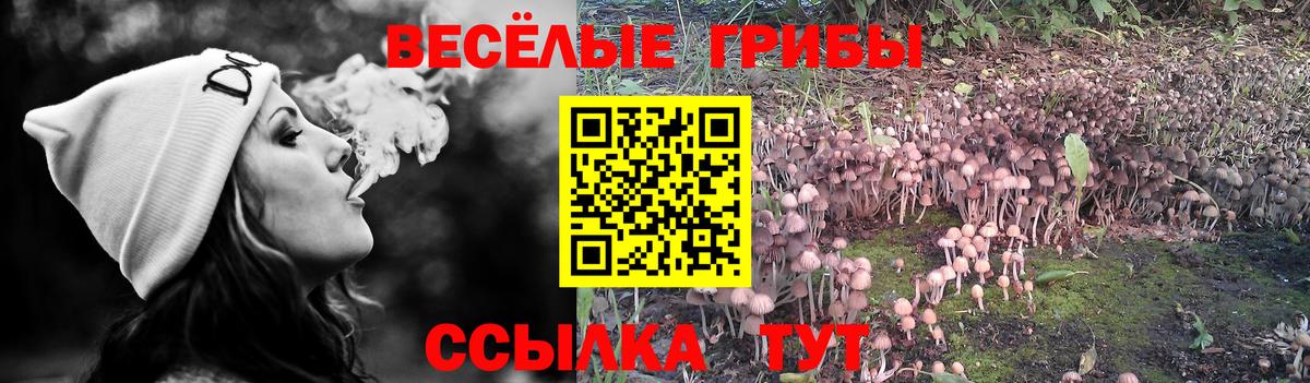 Галлюциногенные грибы Cubensis Тобольск